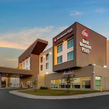 เบสต์ เวสเทิร์น พลัส เซนต์จอห์นแอร์พอร์ต โฮเต็ล แอนด์ สวีท Hotel ภายนอก รูปภาพ